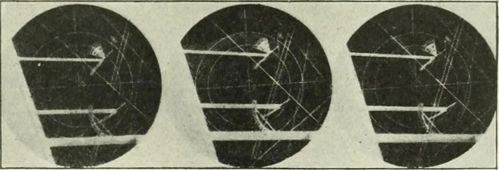 An illustration from Report, 1915, leaf 664