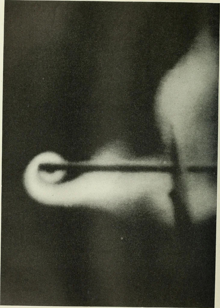 An illustration from Report, 1915, leaf 67