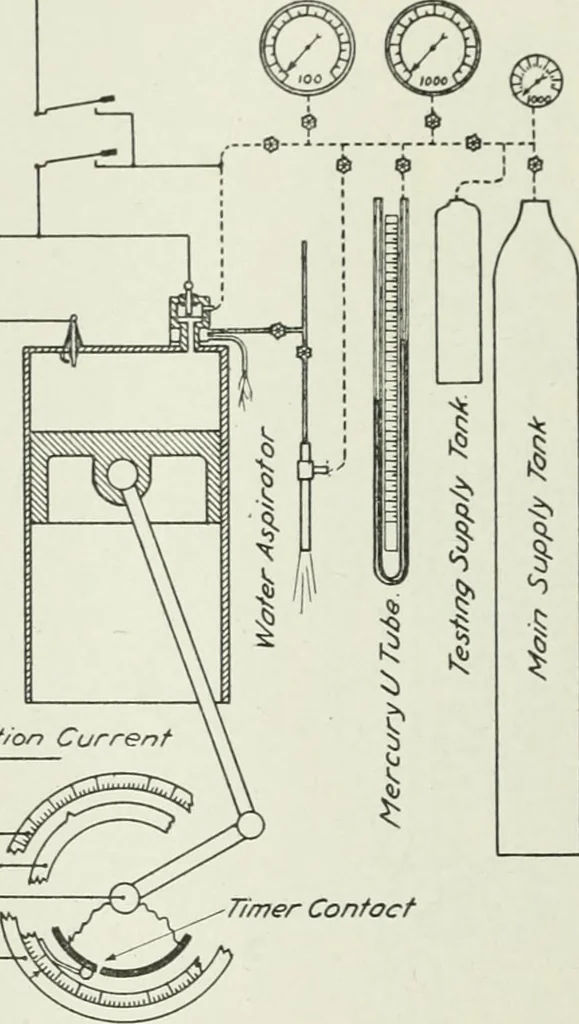An illustration from Report, 1915, leaf 697