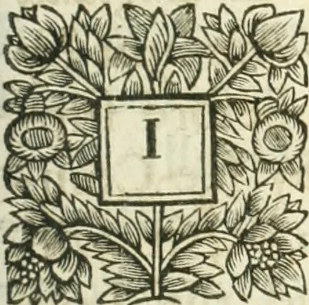 An illustration from A report containing an essay for the amendment of the silver coins, 1695, leaf 114
