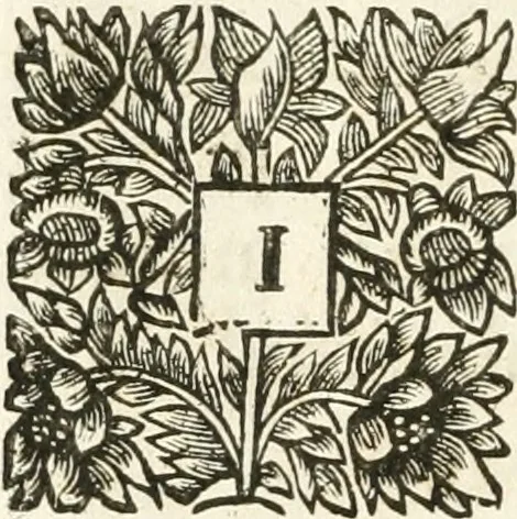 An illustration from A report containing an essay for the amendment of the silver coins, 1695, leaf 123