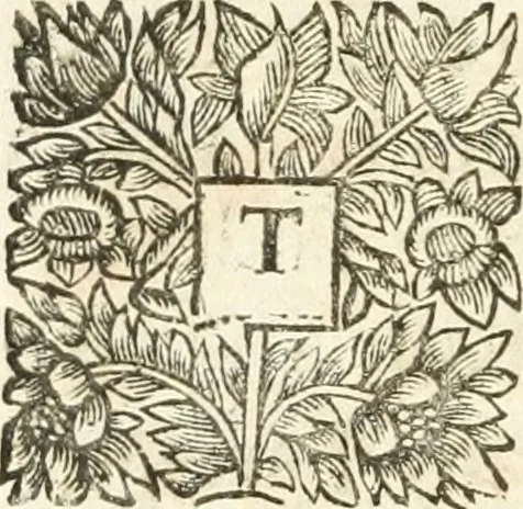 An illustration from A report containing an essay for the amendment of the silver coins, 1695, leaf 157
