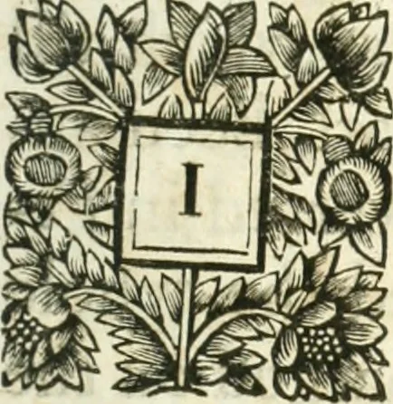 An illustration from A report containing an essay for the amendment of the silver coins, 1695, leaf 8