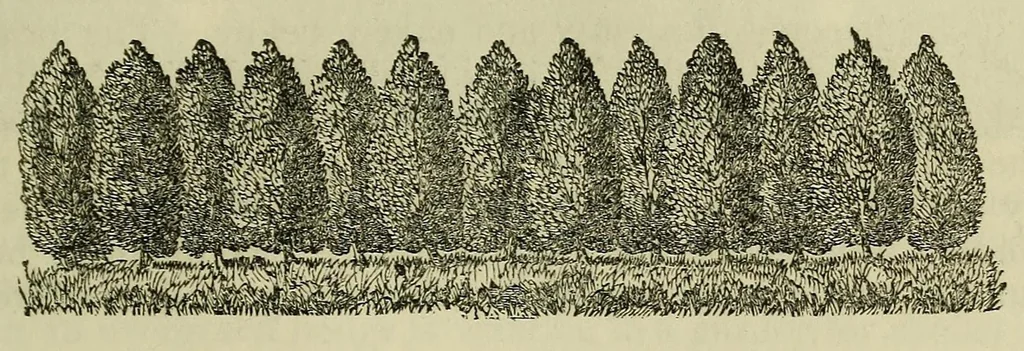 An illustration from Report of the Commissioner of Patents for the year .., 1849, leaf 443