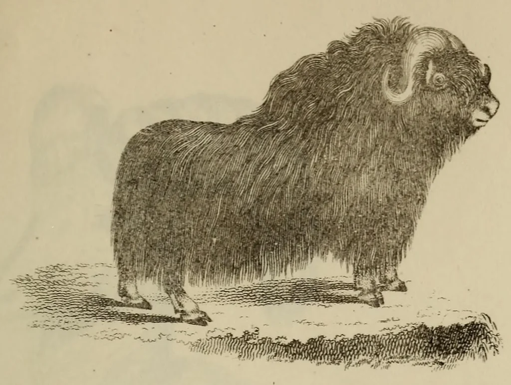 An illustration from Report of the Commissioner of Patents for the year .., 1849, leaf 703
