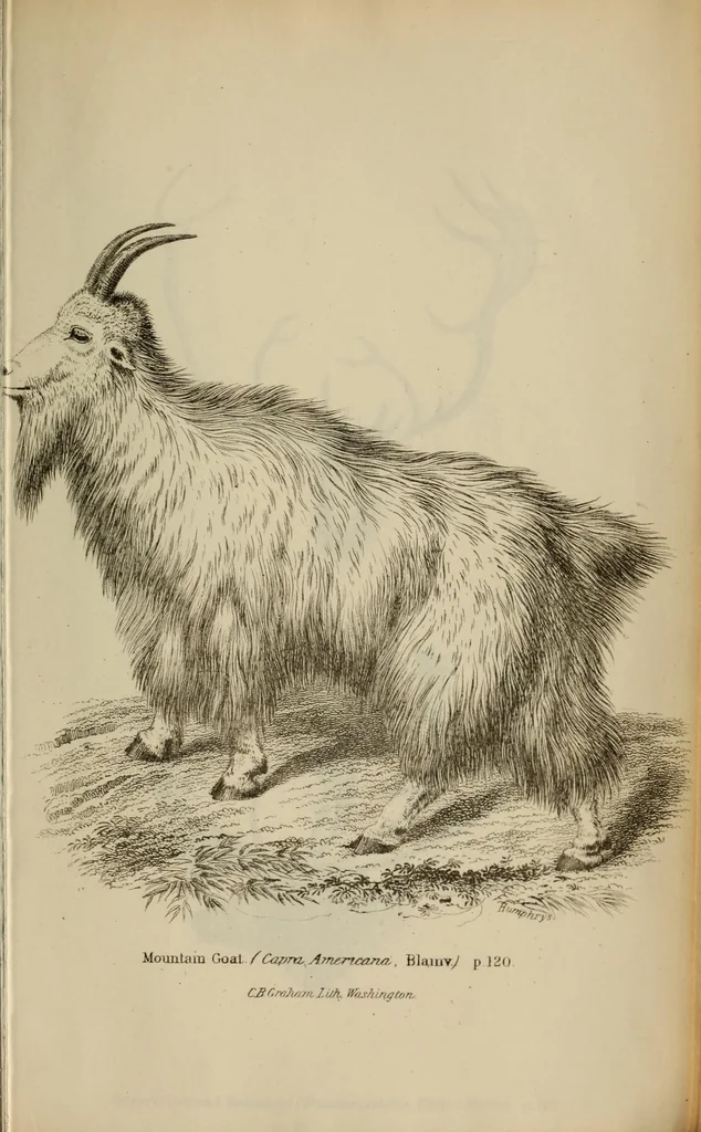 An illustration from Report of the Commissioner of Patents for the year .., 1849, leaf 707