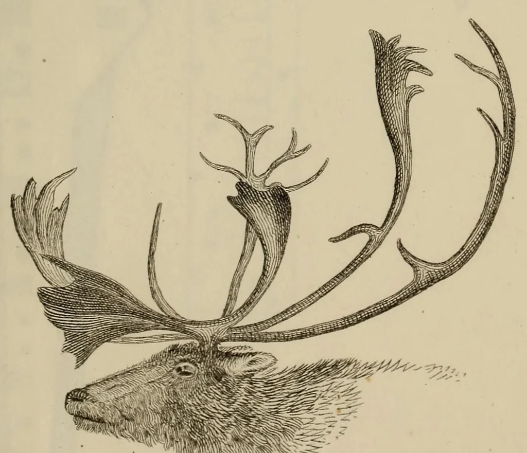 An illustration from Report of the Commissioner of Patents for the year .., 1849, leaf 709