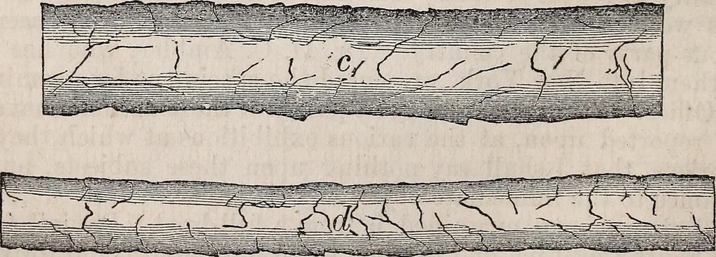 An illustration from Report of the Commissioner of Patents for the year .., 1849, leaf 141