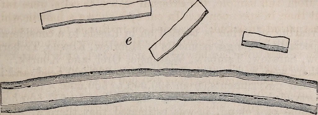 An illustration from Report of the Commissioner of Patents for the year .., 1849, leaf 142