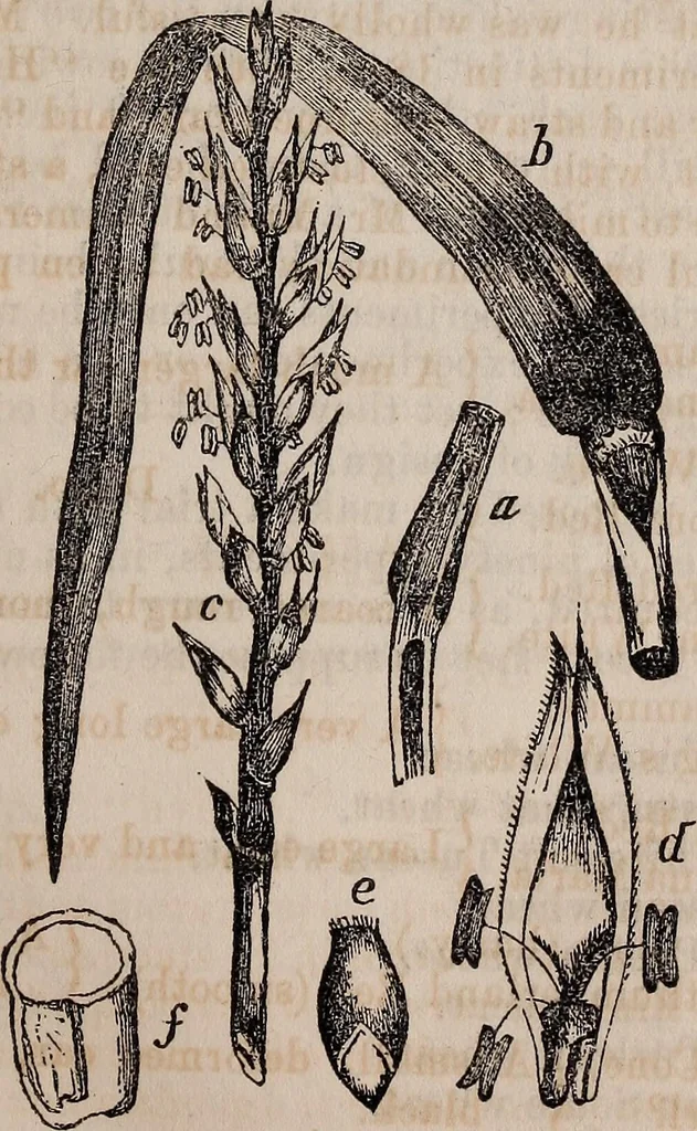 An illustration from Report of the Commissioner of Patents for the year .., 1849, leaf 266