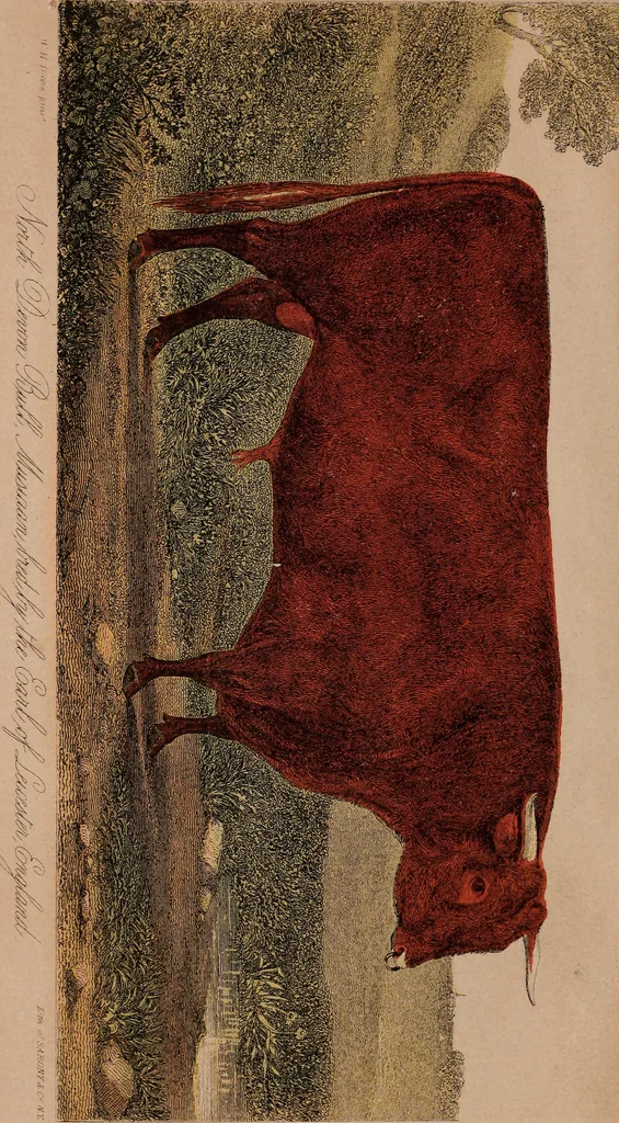 An illustration from Report of the Commissioner of Patents for the year .., 1849, leaf 7