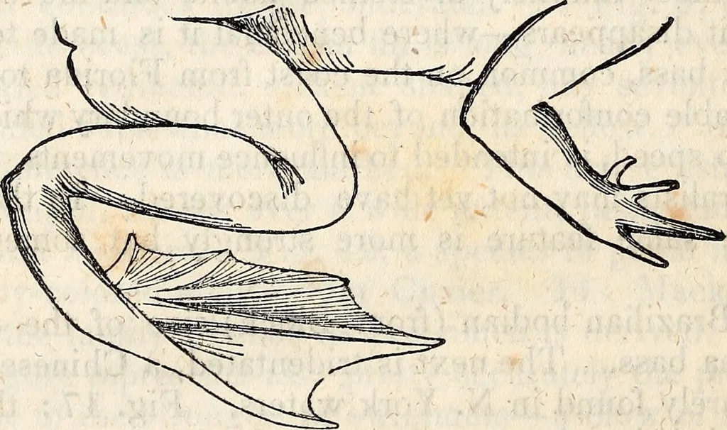 An illustration from Report of the Commissioner of Patents, for the year 1849, 1850, leaf 621