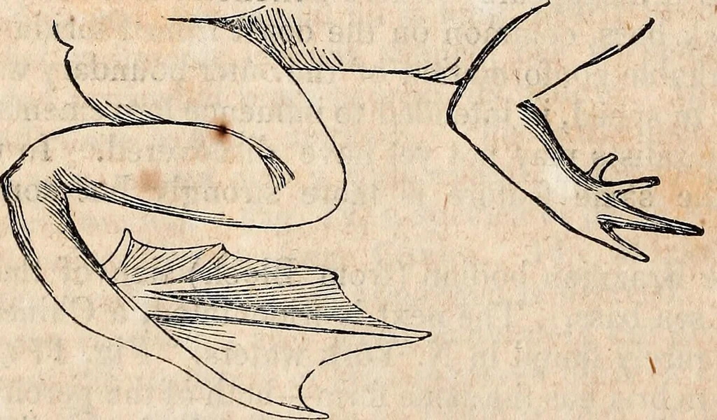An illustration from Report of the commissioner of patents, for the year 1849, 1850, leaf 621