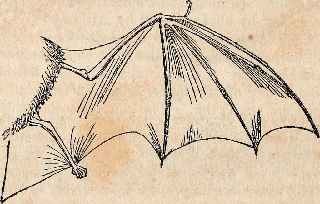 An illustration from Report of the commissioner of patents, for the year 1849, 1850, leaf 623