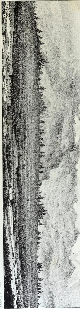 An illustration from Report of the exploring expedition to the Rocky Mountains in the year 1842 : and to Oregon and north California in the years 1843-44, 1845, leaf 132