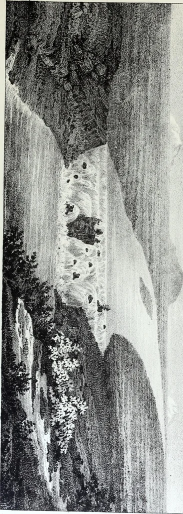 An illustration from Report of the exploring expedition to the Rocky Mountains in the year 1842 : and to Oregon and north California in the years 1843-44, 1845, leaf 192