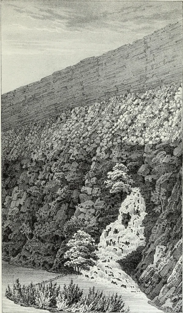 An illustration from Report of the exploring expedition to the Rocky Mountains in the year 1842 : and to Oregon and north California in the years 1843-44, 1845, leaf 197