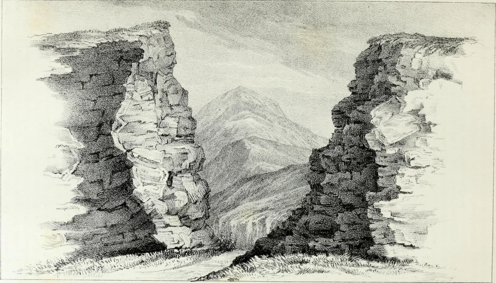 An illustration from Report of the exploring expedition to the Rocky Mountains in the year 1842 : and to Oregon and north California in the years 1843-44, 1845, leaf 65