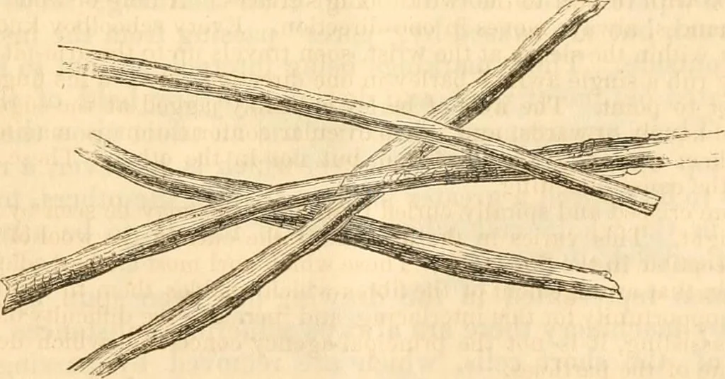 An illustration from Report of the Flax and hemp commission, 1865, leaf 72
