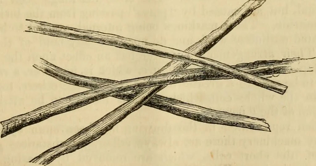 An illustration from Report of the Flax and hemp commission, 1865, leaf 70