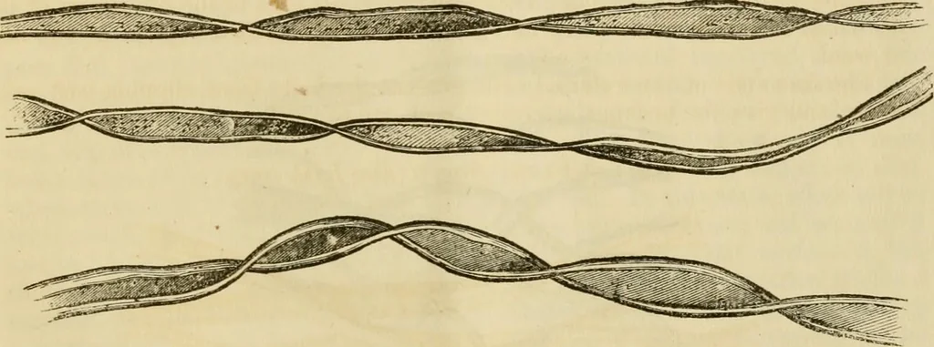 An illustration from Report of the Flax and hemp commission, 1865, leaf 72