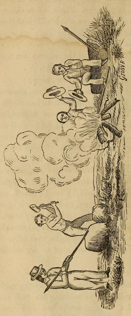 An illustration from Report of the Sonora Exploring and Mining Co., made to the Stockholders, September, 1857, 1857, leaf 26