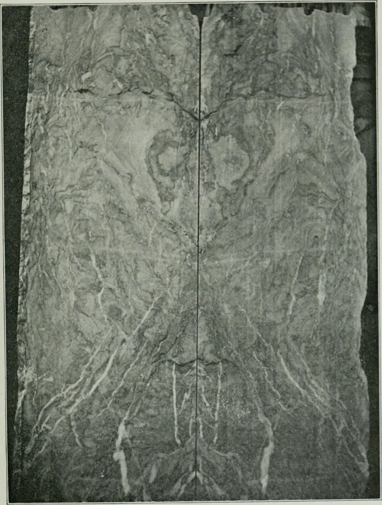 An illustration from Report on the building and ornamental stones of Canada, 1912, leaf 512