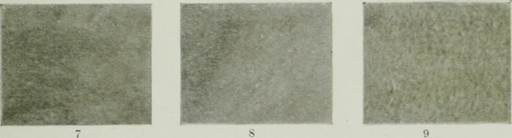 An illustration from Report on the building and ornamental stones of Canada, 1912, leaf 538