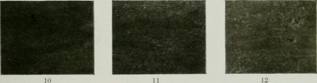 An illustration from Report on the building and ornamental stones of Canada, 1912, leaf 538