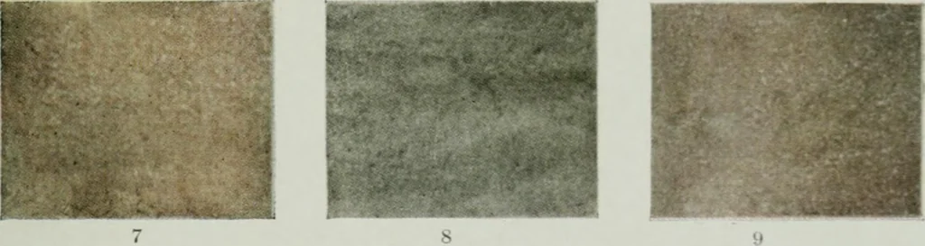 An illustration from Report on the building and ornamental stones of Canada, 1912, leaf 542