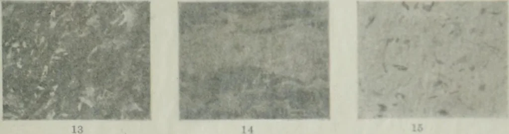 An illustration from Report on the building and ornamental stones of Canada, 1912, leaf 544