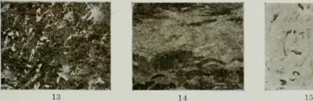 An illustration from Report on the building and ornamental stones of Canada, 1912, leaf 546