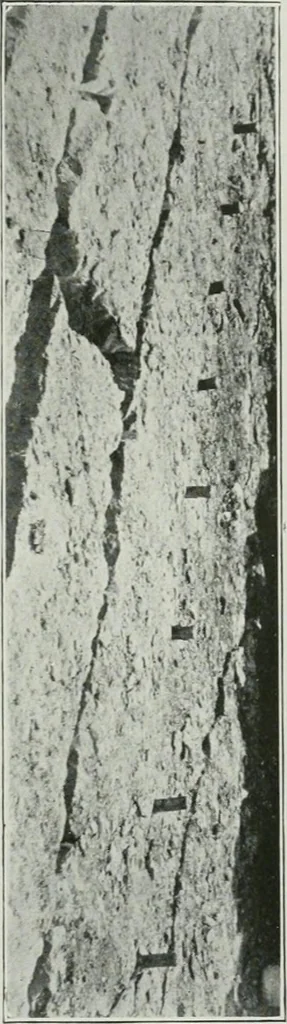 An illustration from ... Report on the building and ornamental stones of Canada, vol. I-V, 1912, leaf 158