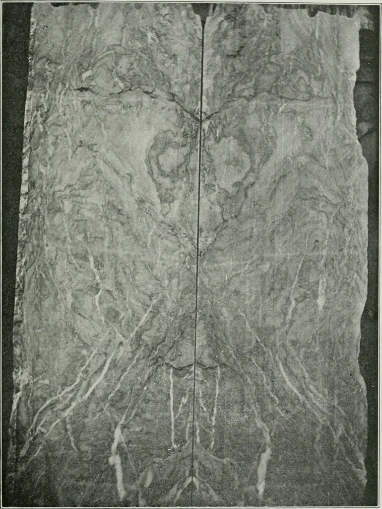 An illustration from ... Report on the building and ornamental stones of Canada, vol. I-V, 1912, leaf 520
