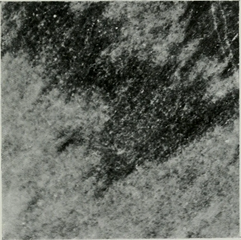 An illustration from ... Report on the building and ornamental stones of Canada, vol. I-V, 1912, leaf 538