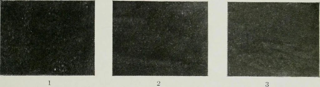 An illustration from ... Report on the building and ornamental stones of Canada, vol. I-V, 1912, leaf 546
