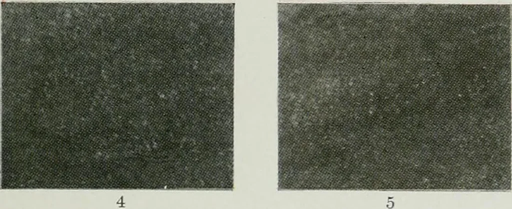An illustration from ... Report on the building and ornamental stones of Canada, vol. I-V, 1912, leaf 546