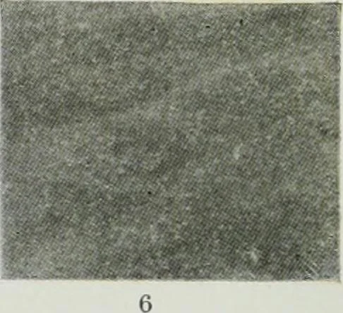 An illustration from ... Report on the building and ornamental stones of Canada, vol. I-V, 1912, leaf 546