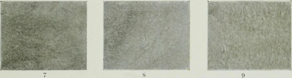 An illustration from ... Report on the building and ornamental stones of Canada, vol. I-V, 1912, leaf 546