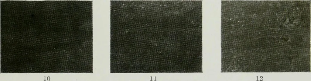 An illustration from ... Report on the building and ornamental stones of Canada, vol. I-V, 1912, leaf 546