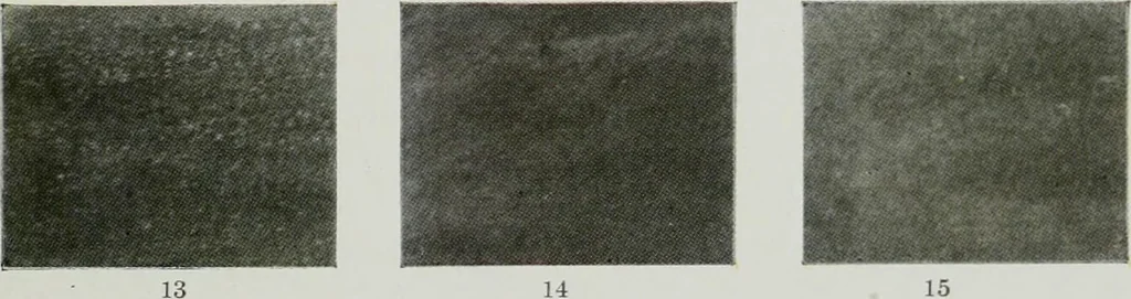 An illustration from ... Report on the building and ornamental stones of Canada, vol. I-V, 1912, leaf 546