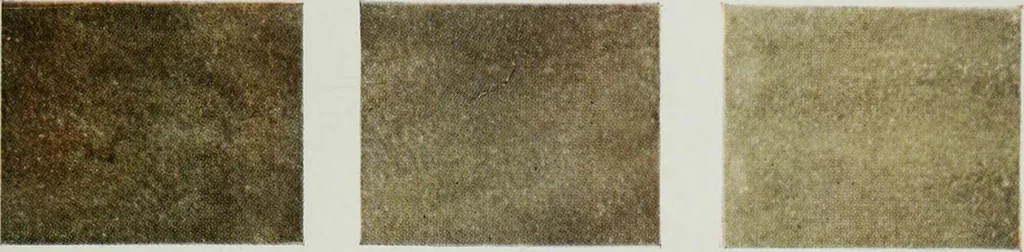 An illustration from ... Report on the building and ornamental stones of Canada, vol. I-V, 1912, leaf 550