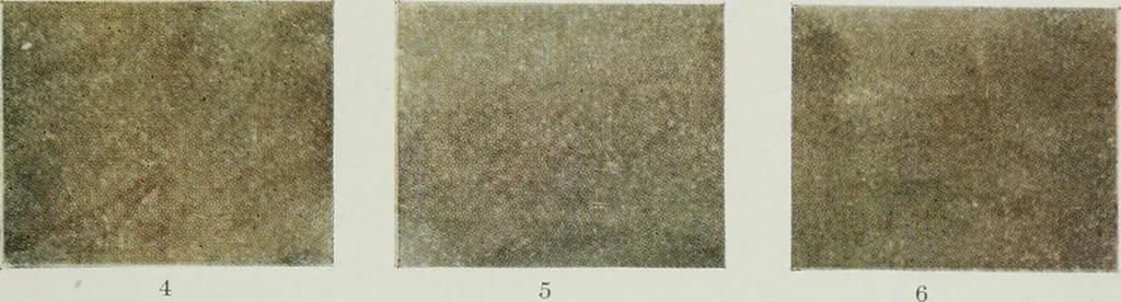 An illustration from ... Report on the building and ornamental stones of Canada, vol. I-V, 1912, leaf 550