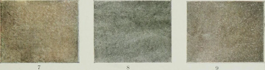 An illustration from ... Report on the building and ornamental stones of Canada, vol. I-V, 1912, leaf 550