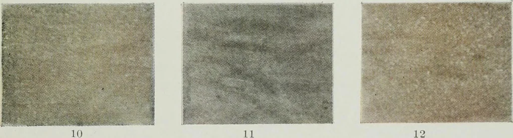 An illustration from ... Report on the building and ornamental stones of Canada, vol. I-V, 1912, leaf 550