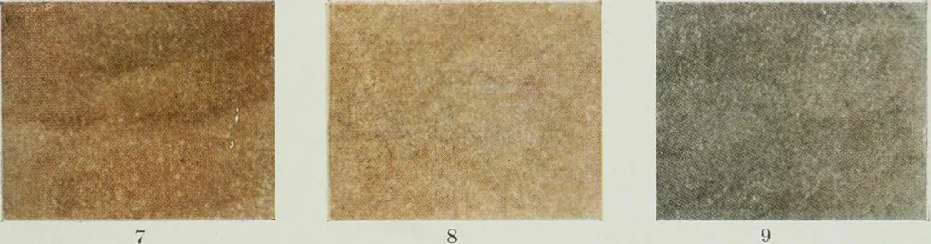 An illustration from ... Report on the building and ornamental stones of Canada, vol. I-V, 1912, leaf 554