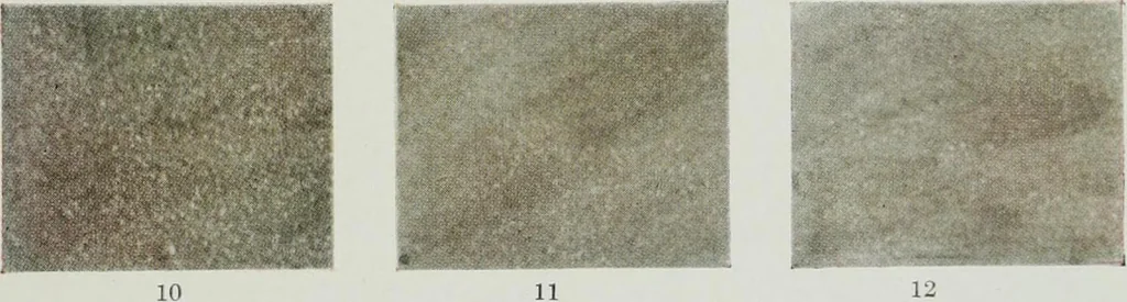 An illustration from ... Report on the building and ornamental stones of Canada, vol. I-V, 1912, leaf 554