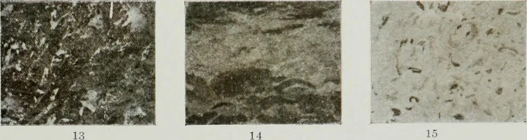An illustration from ... Report on the building and ornamental stones of Canada, vol. I-V, 1912, leaf 554