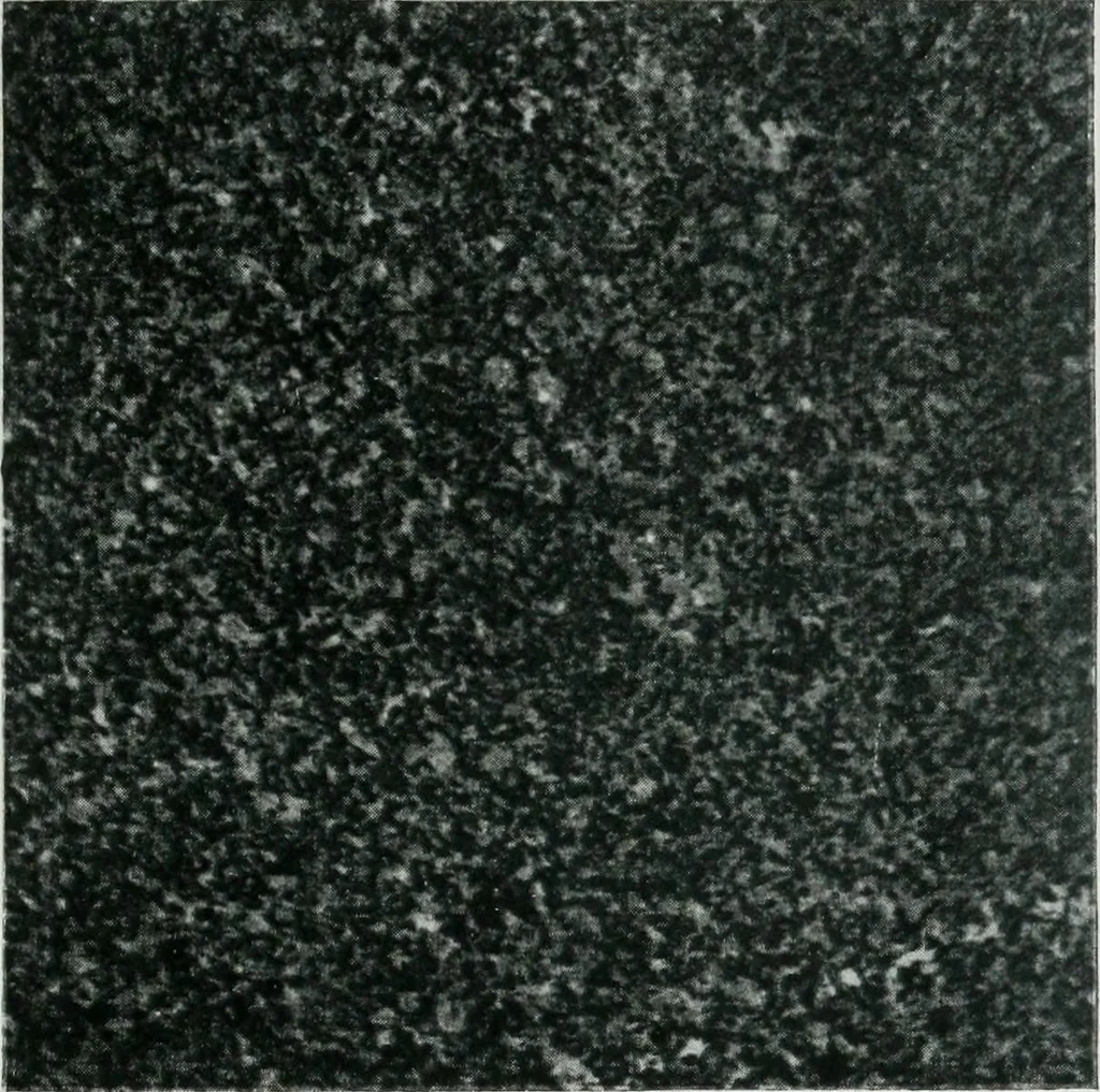 An illustration from ... Report on the building and ornamental stones of Canada, vol. I-V, 1912, leaf 194