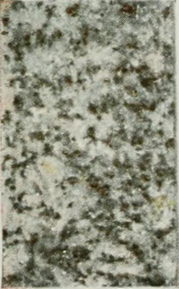 An illustration from ... Report on the building and ornamental stones of Canada, vol. I-V, 1912, leaf 326